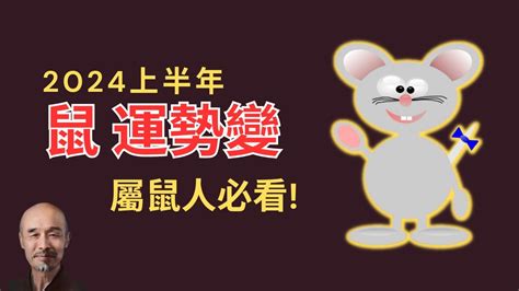 2024鼠年運程1996|1996年属鼠人2024年全年运势详解 28岁生肖鼠2024年。